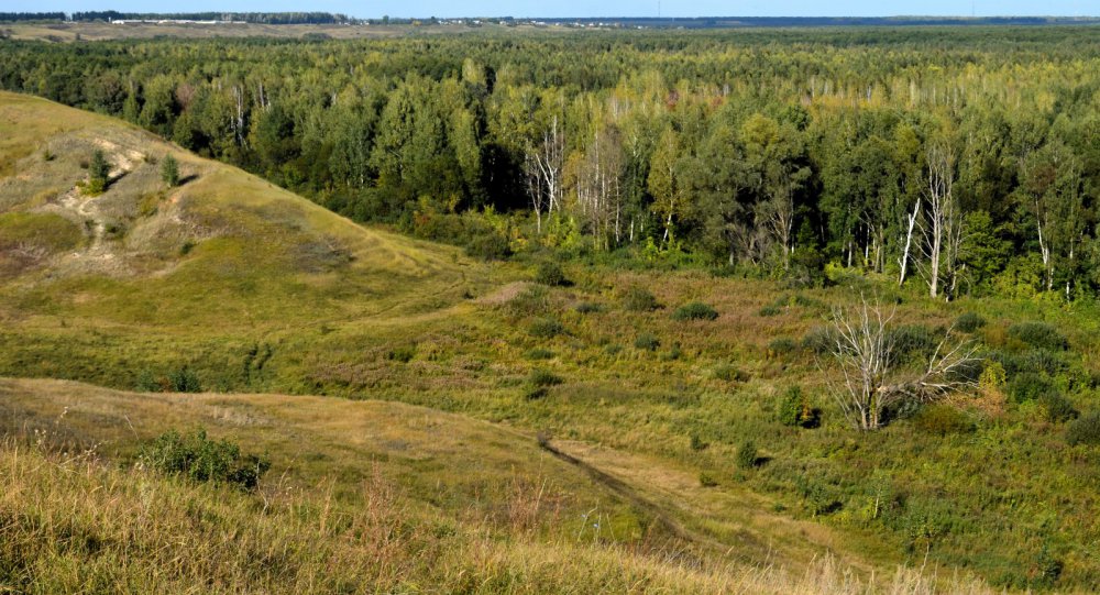 Рубеж. 4