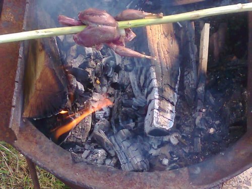 Птичка невеличка
