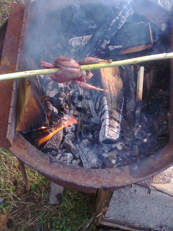 Птичка невеличка