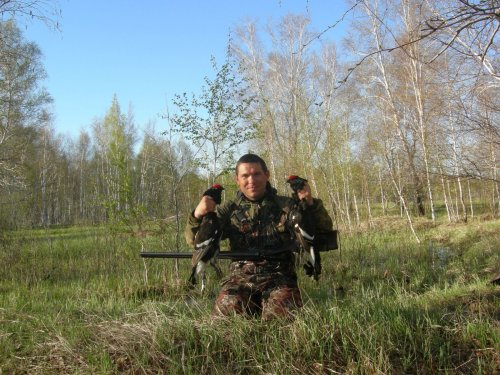 Краснобровые