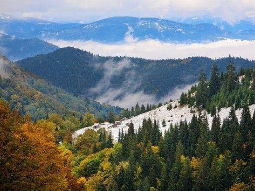 карпат