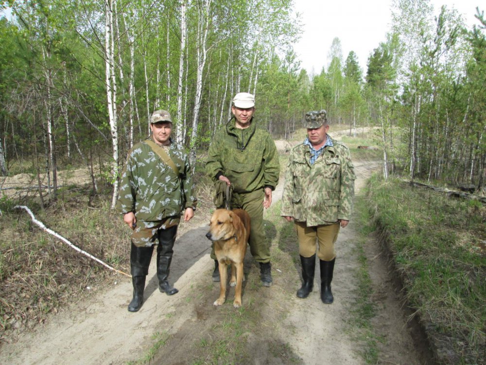 На испытаниях
