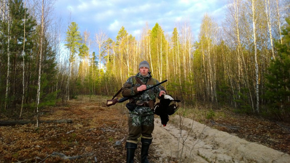 Утренняя зорька