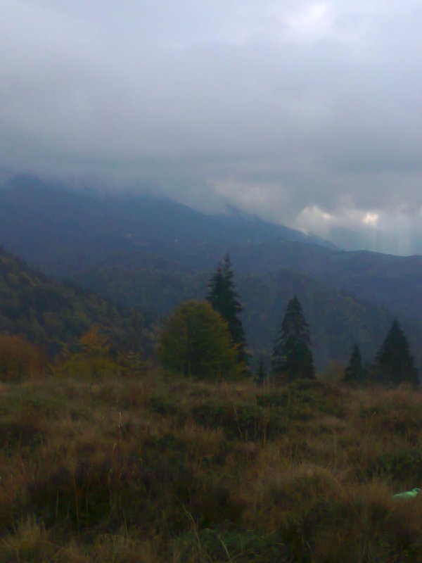 КАРПАТ
