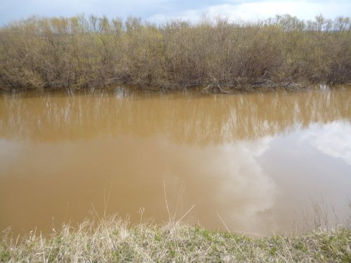 р. Омка 08.05.12 г.