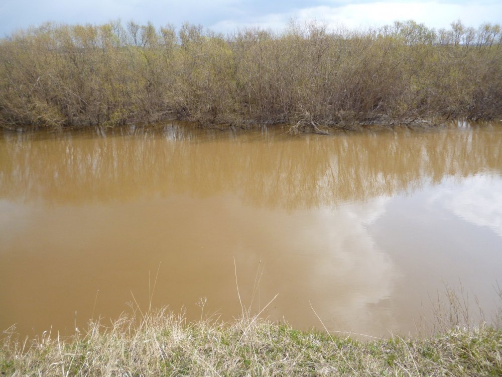 р. Омка 08.05.12 г.