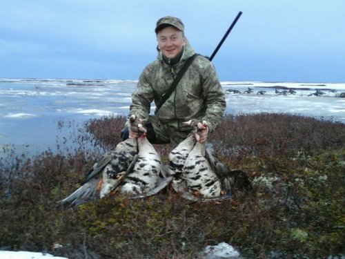 На гуся 2016