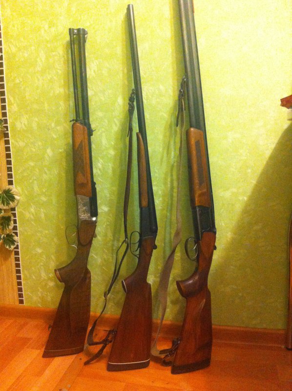 Мое "Семейство ИЖей"