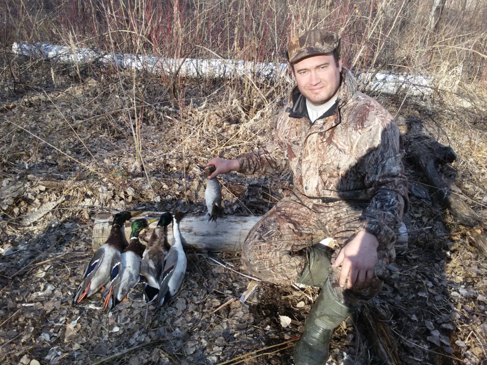 Закрытие 2016г.