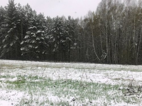 Май 2016 НСО.