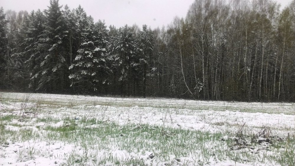 Май 2016 НСО.