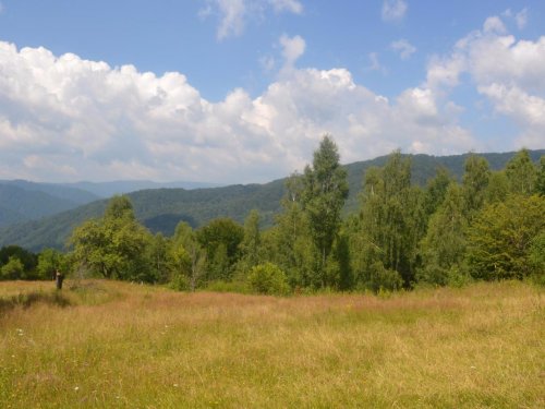 Лето