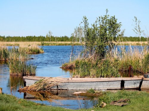 Водный транспорт