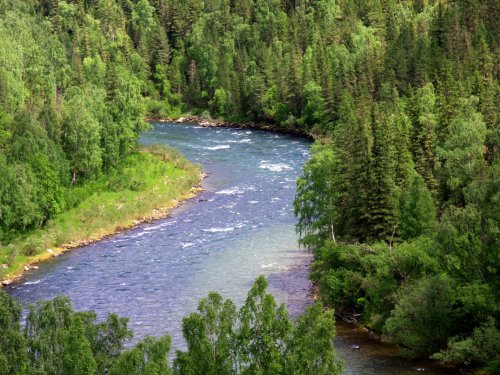 Алтай, Река Кокса