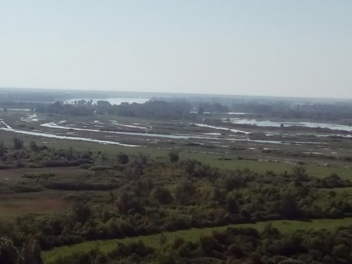 Паводок