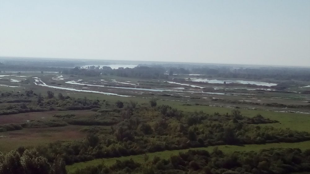 Паводок