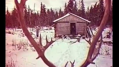 Охотники-промысловики в советское время.