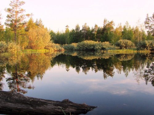 Зеркало.