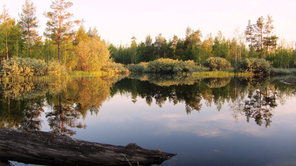 Зеркало.
