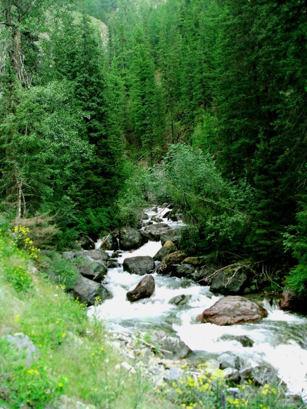 Улаганский район
