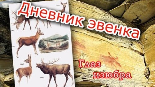 Глаз изюбра.