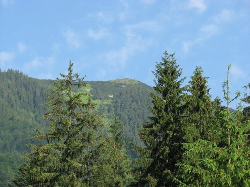 Камянка