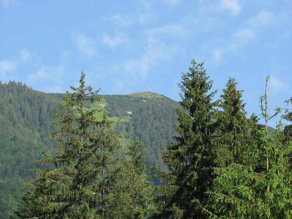 Камянка