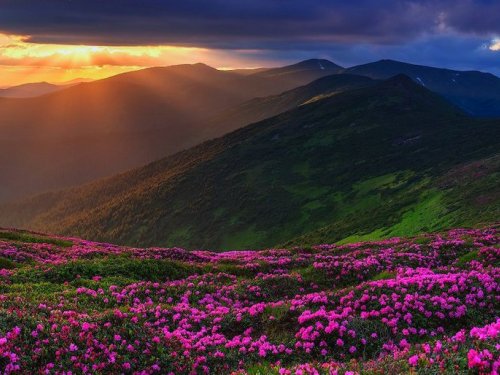 Чорногрськый хребет Карпат