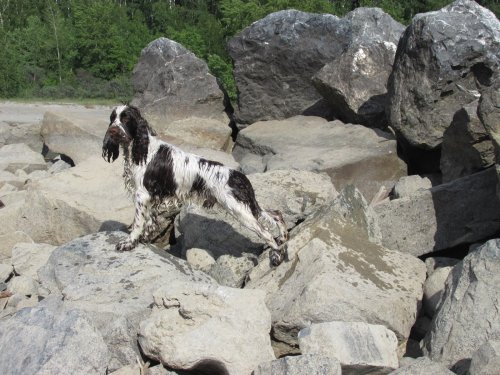 АСС Зиппи, 9 мес, водные процедуры