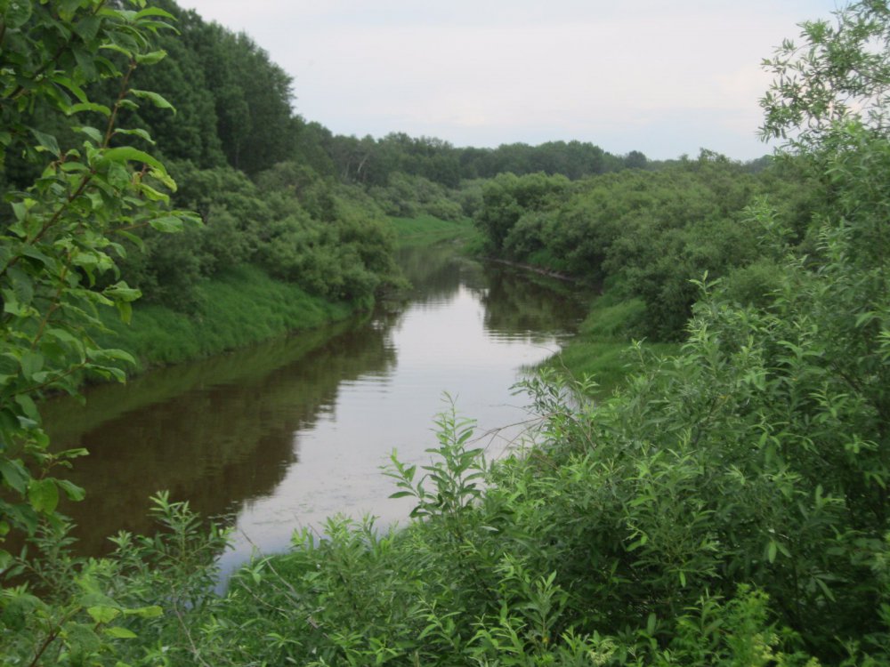 Река Омь