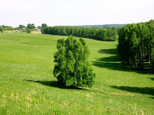 Лето
