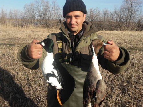 Повезло весной с гоглишкой.