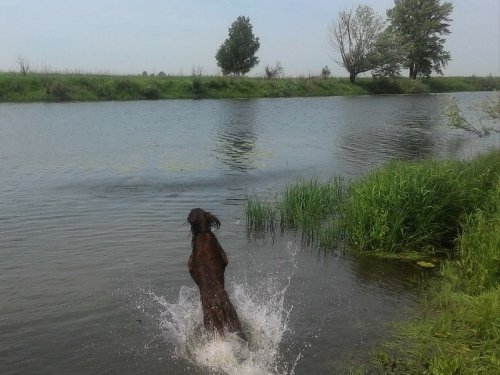 Ура!!! Ура!!! Купаться!!!