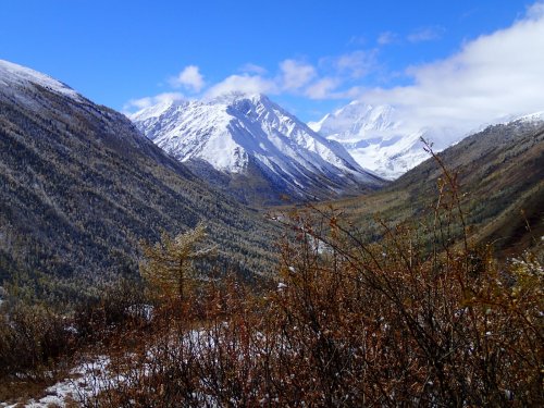 Алтай