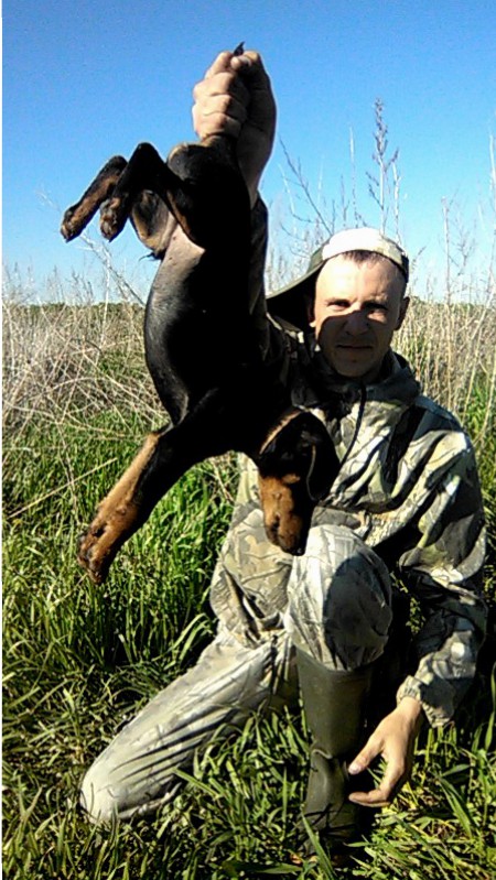 Демон