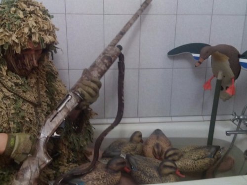 охота на охоту!!!
