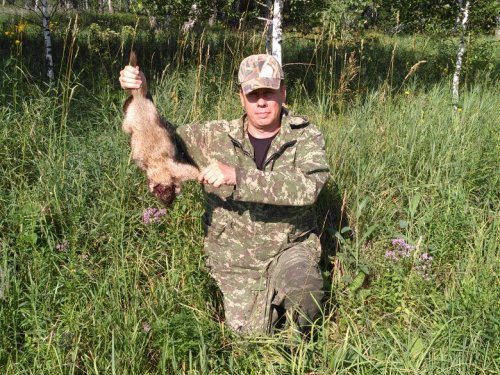 Мой первый сурок