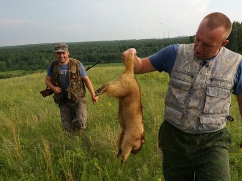 Не плохой!