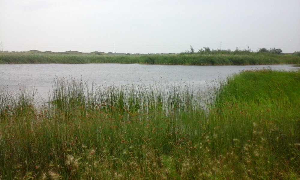 озерцо