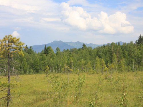 Байкальский заповедник