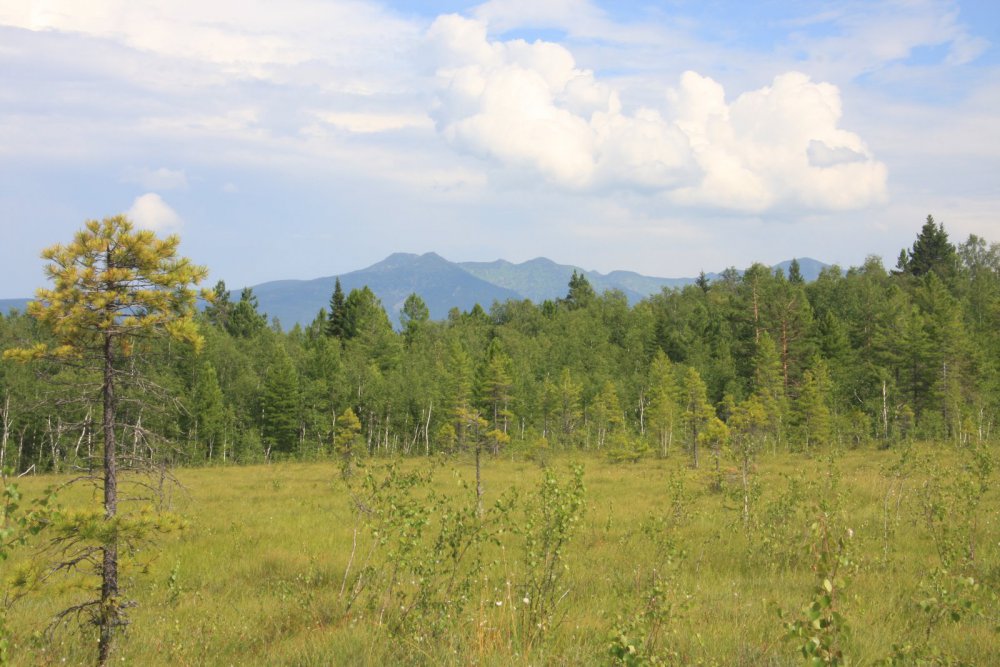 Байкальский заповедник