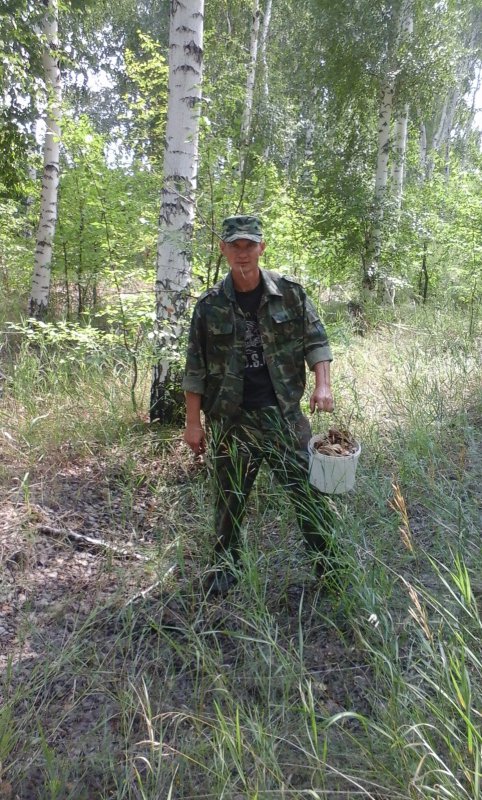 насобирал немного
