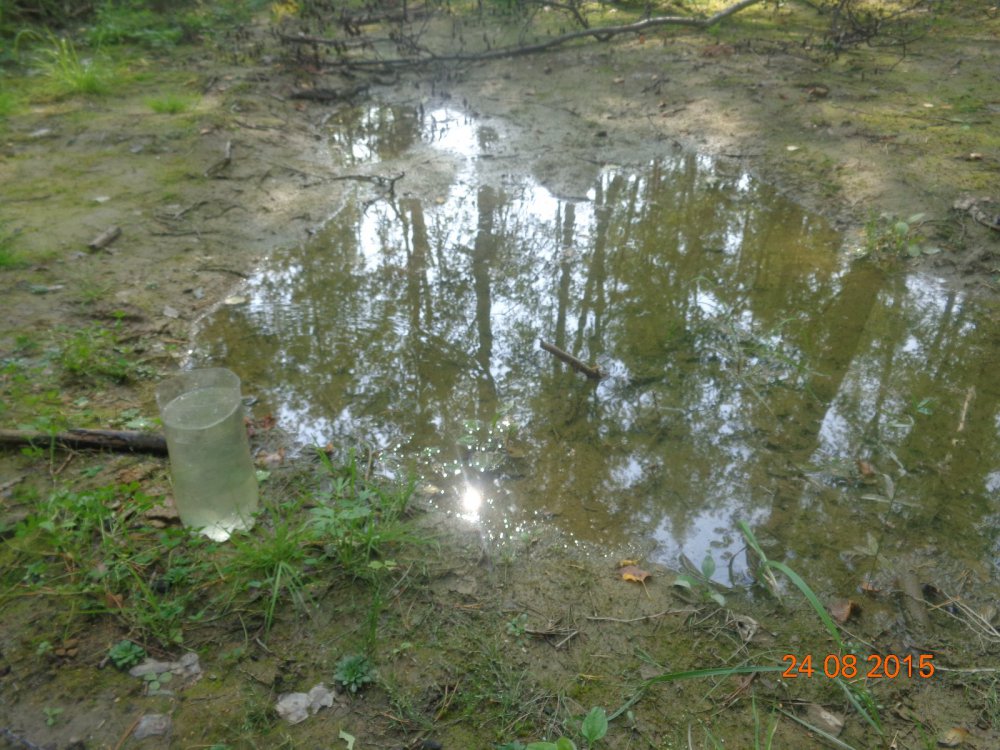 водопой