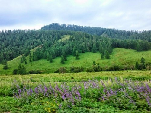 душевно