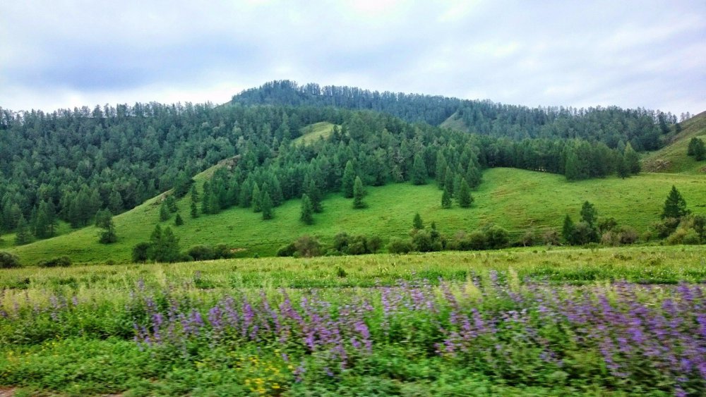 душевно