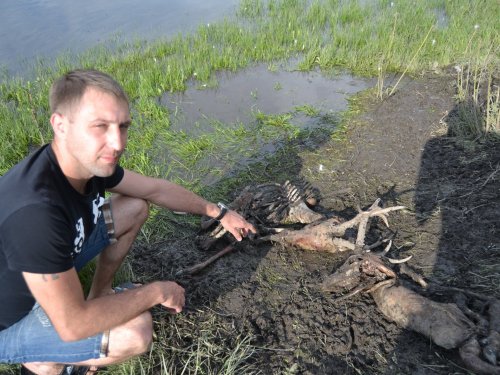 Сцепились на смерть