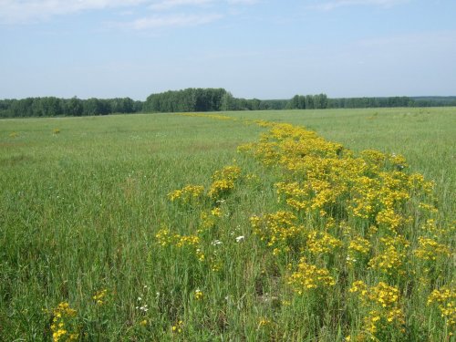 Граница.