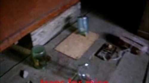 Ловушки для мышей (traps for mice)