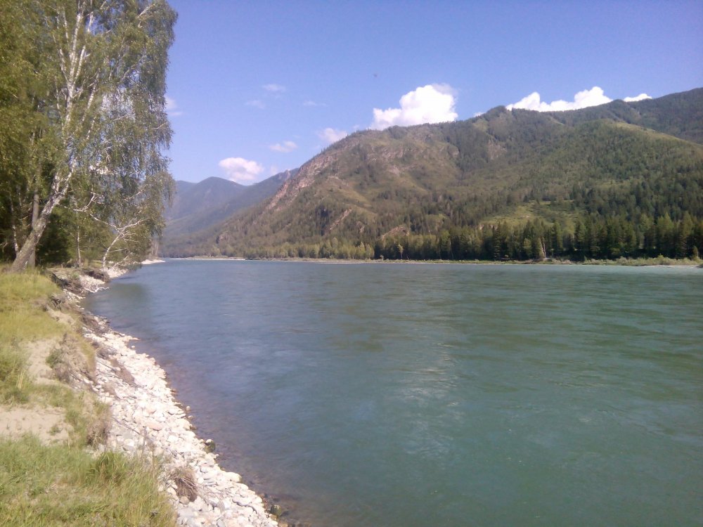 катунь