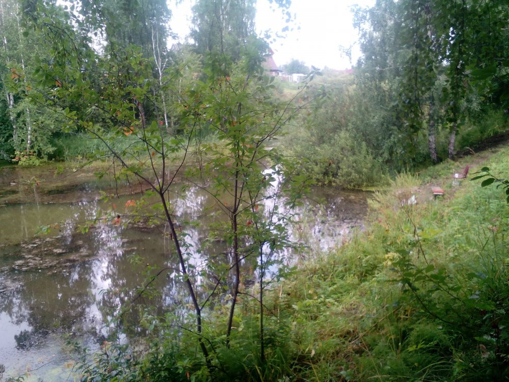 Болото